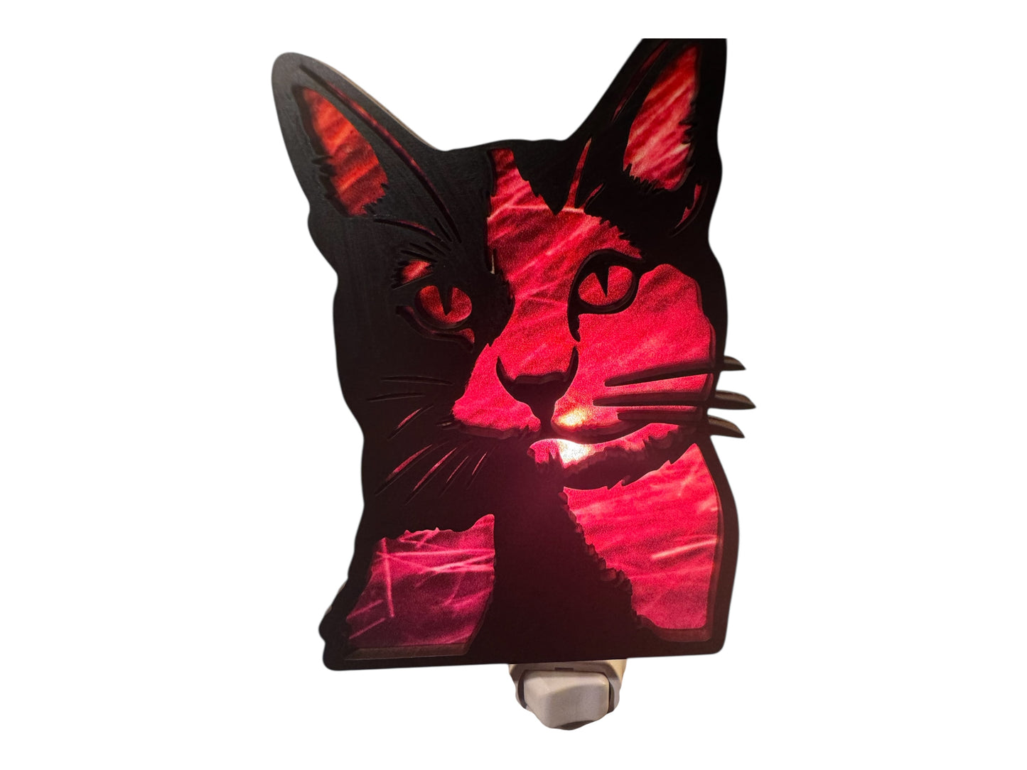 🔥Crimson Cat-titude