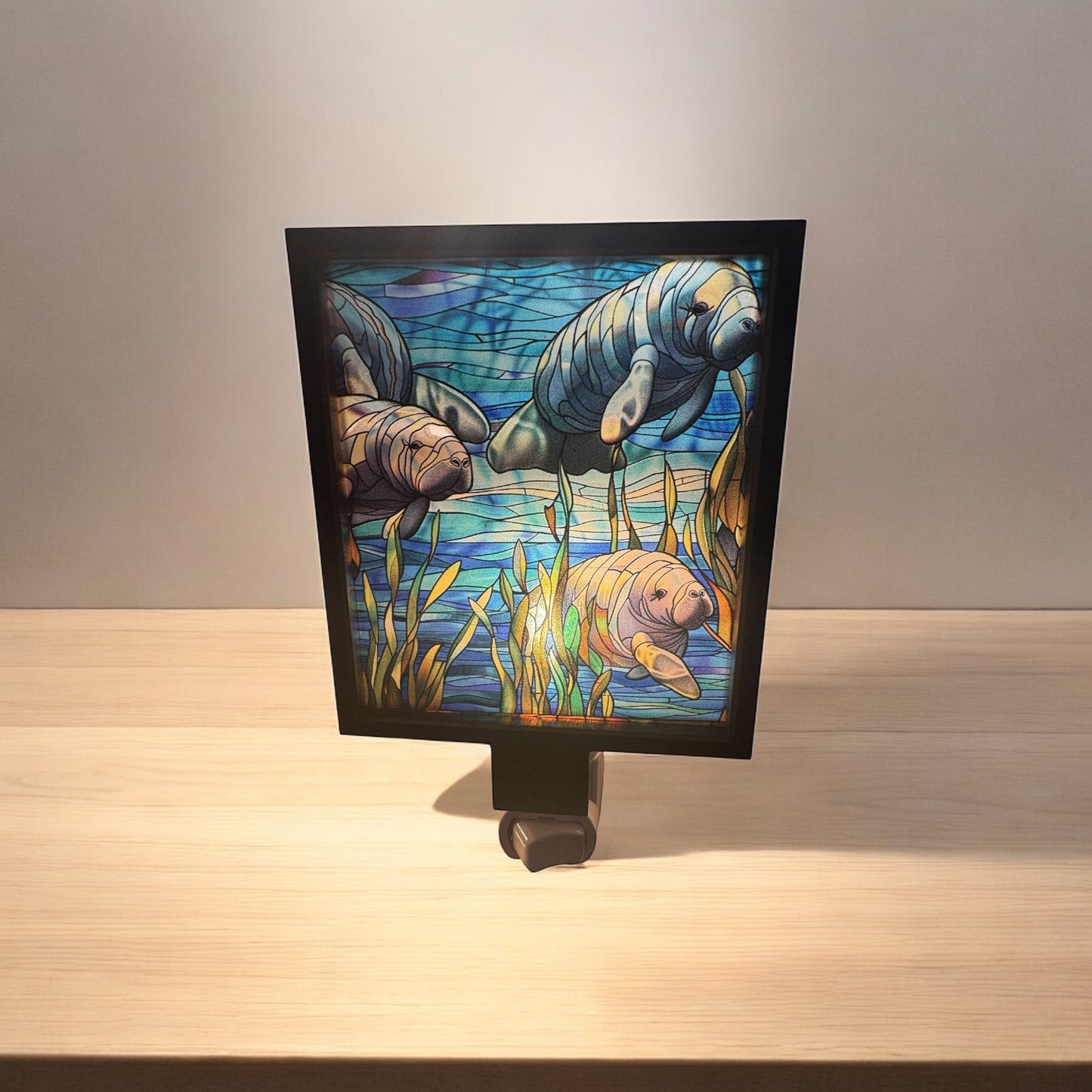 Manatee Meadow Light Panel