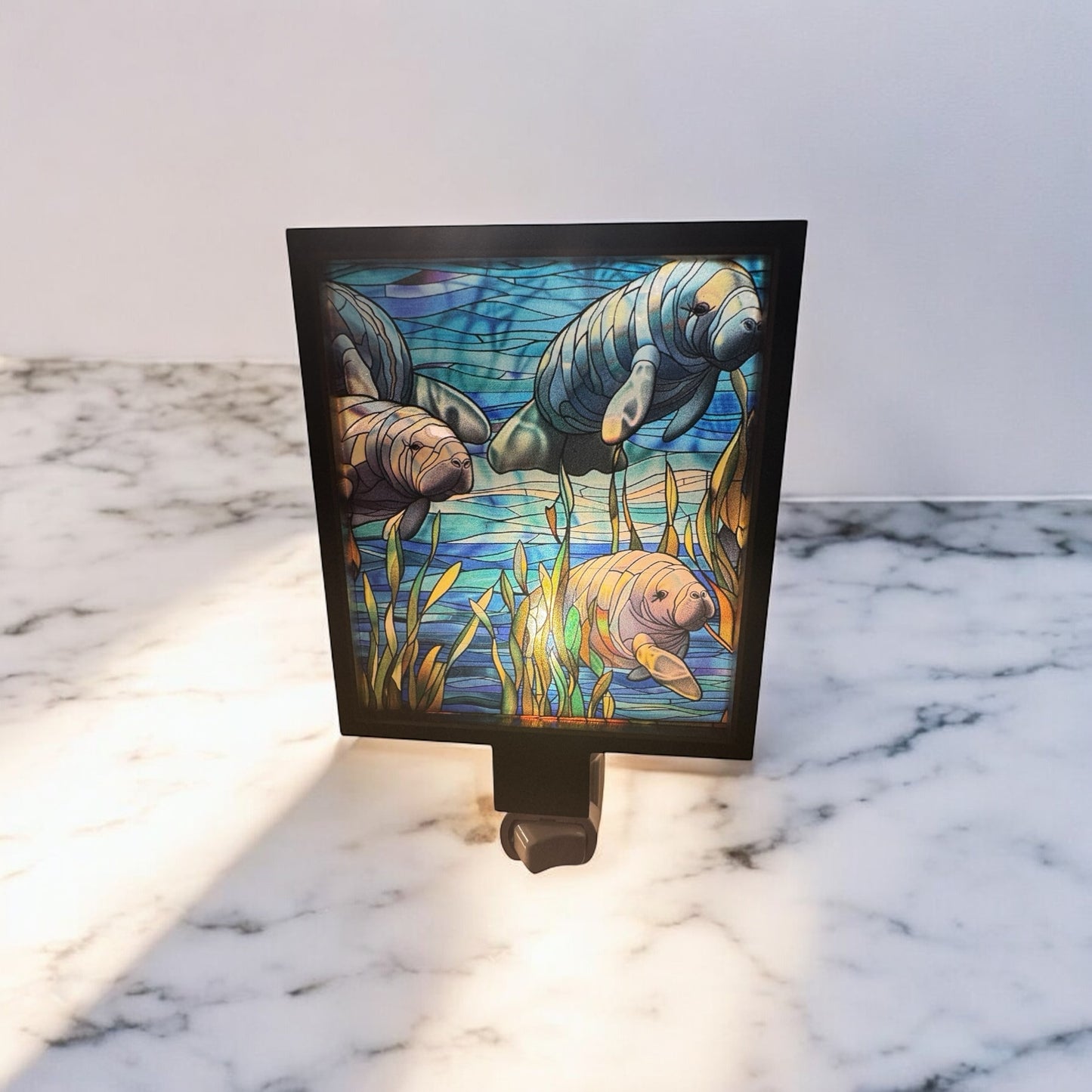 Manatee Meadow Light Panel