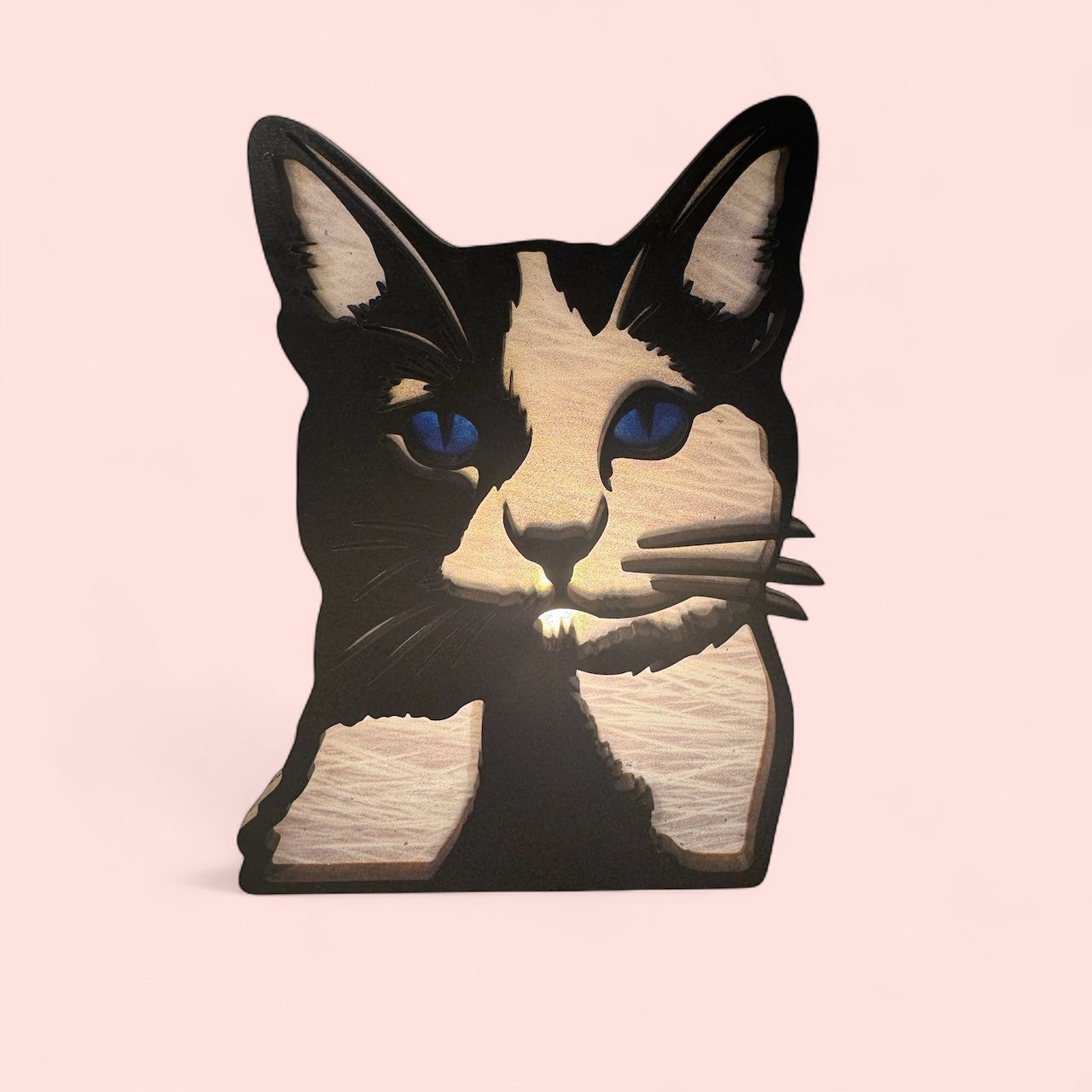 π Midnight Whiskers